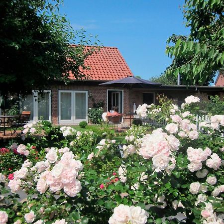 Appartement "Rosenkate 1" à Riepsdorf Extérieur photo